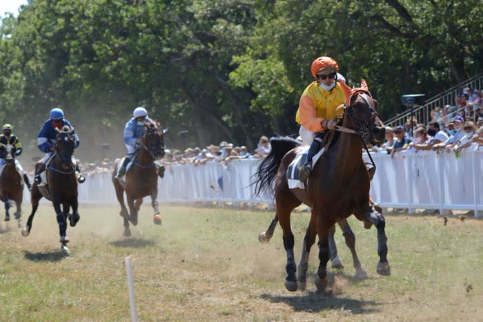 Chevaux de course montés par des jockeys