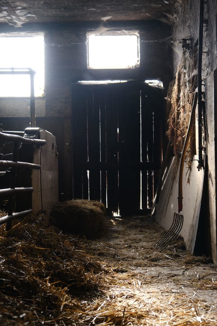Intérieur d'une grange avec du foin